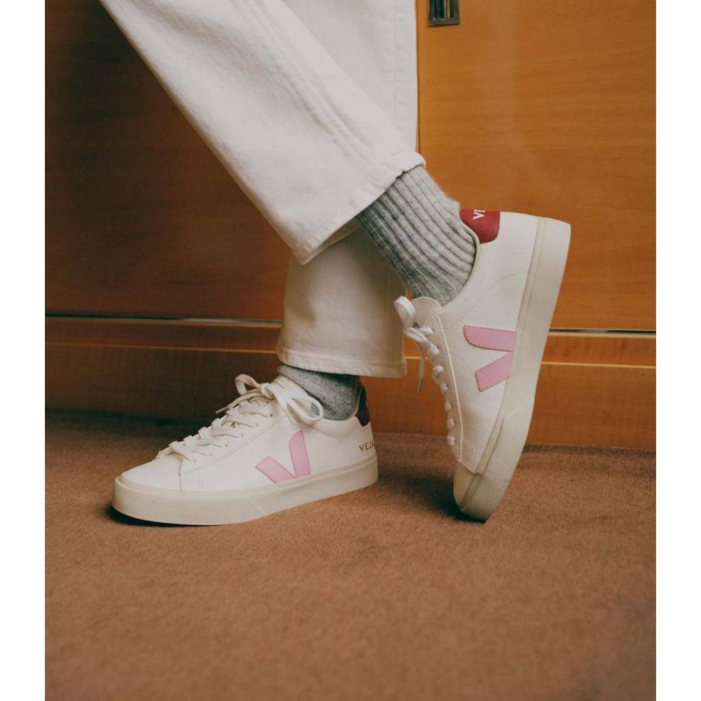 Men's Veja CAMPO CHROMEFREE Low Tops Sneakers White/Pink | ZA 193WNB